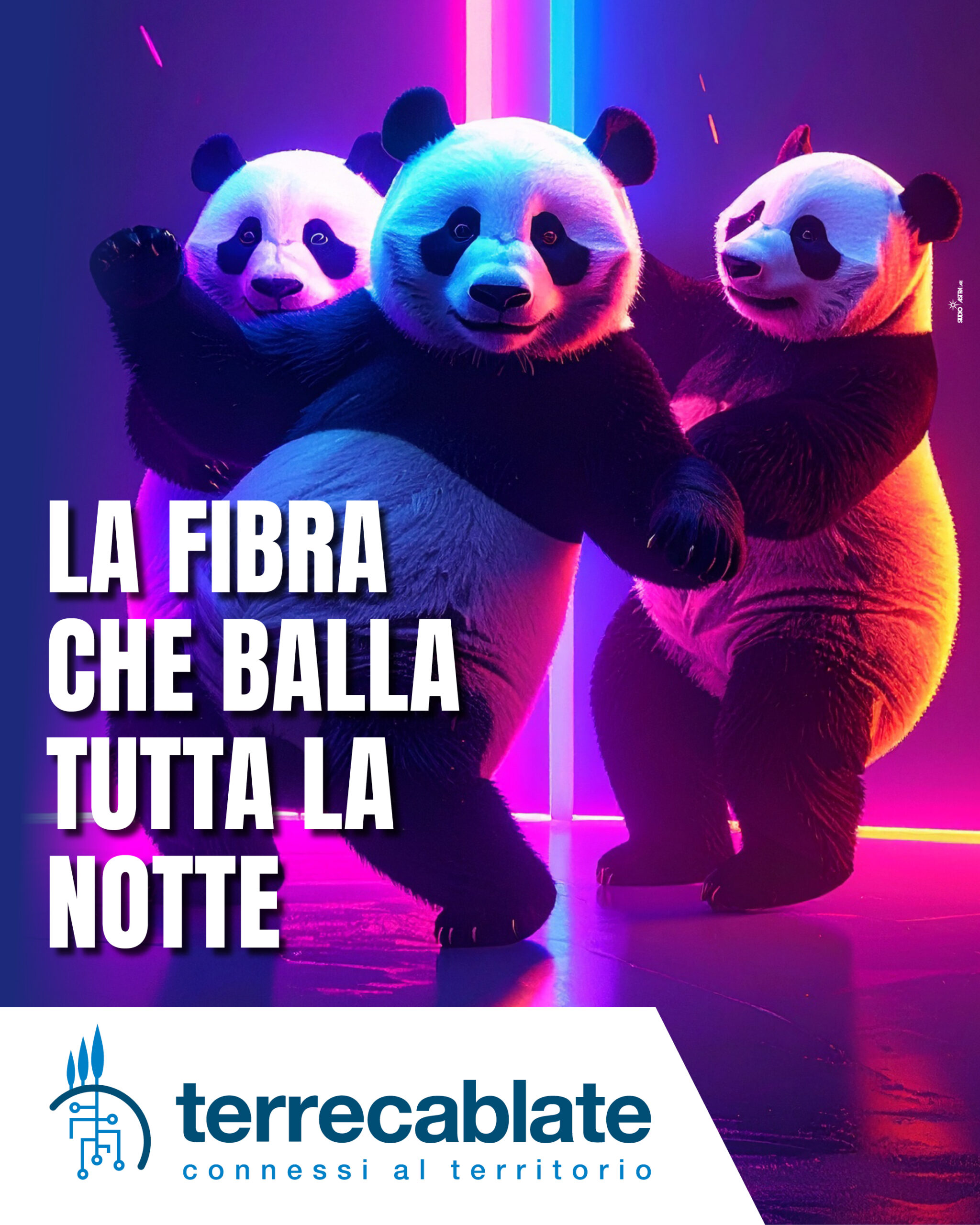 meme_PANDA2